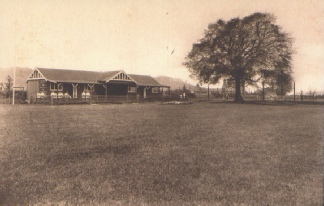Pavilion - Before Shutts Lane Main School was built... school was in Town Hall Buildings pre 1937.